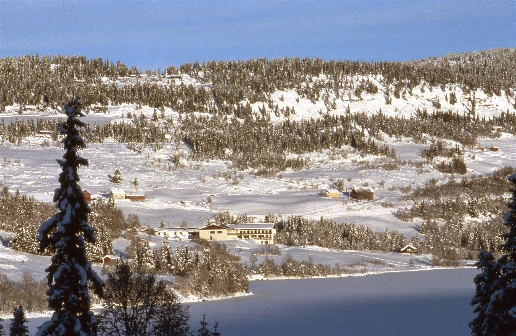 Valdres Hoyfjellshotell Steinsetbygdi Exteriör bild