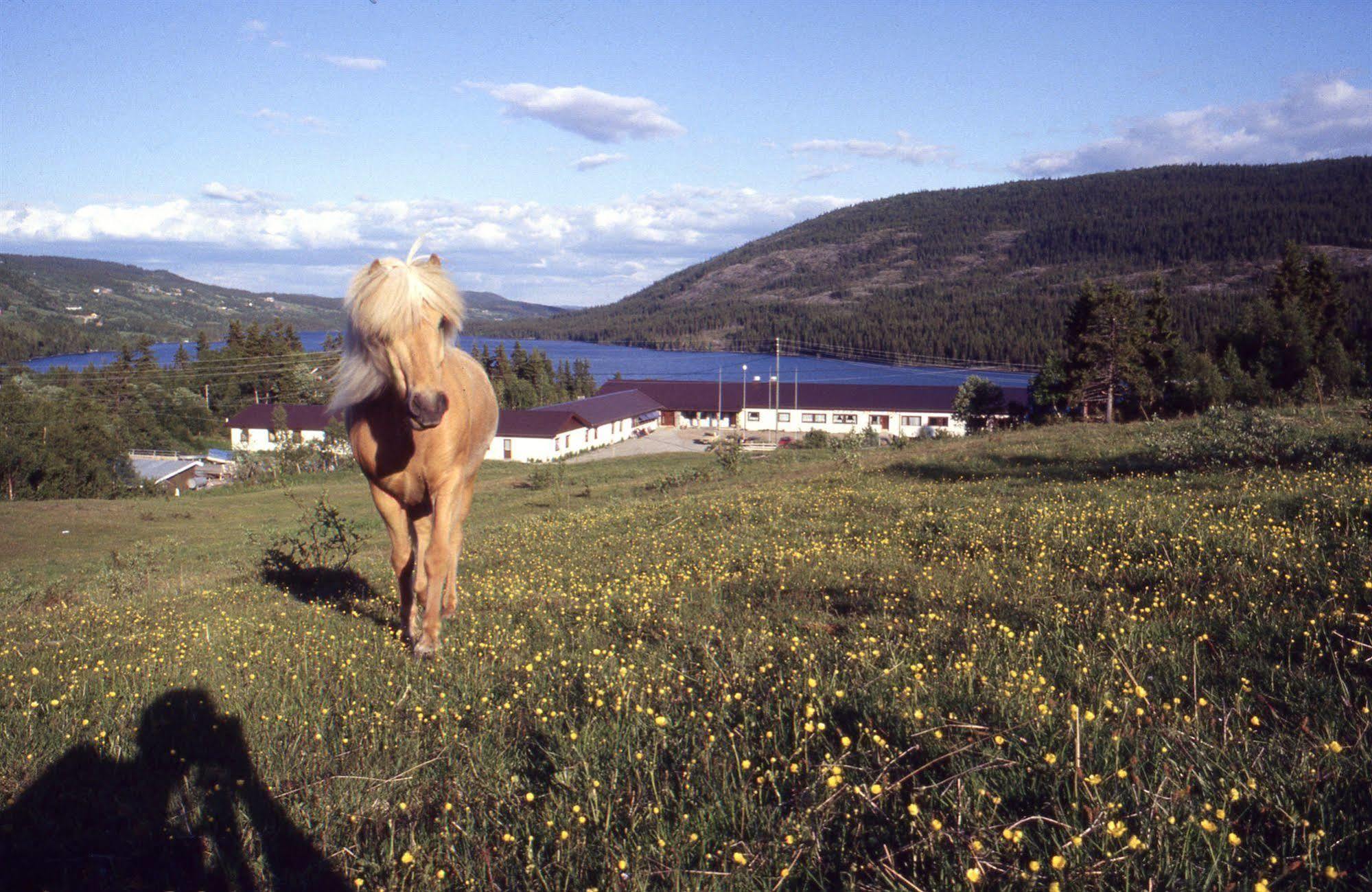 Valdres Hoyfjellshotell Steinsetbygdi Exteriör bild